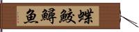 蝶鮫 Hand Scroll