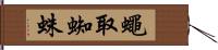 蠅取蜘蛛 Hand Scroll