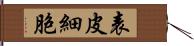 表皮細胞 Hand Scroll