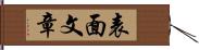 表面文章 Hand Scroll