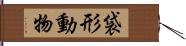 袋形動物 Hand Scroll