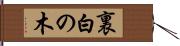 裏白の木 Hand Scroll