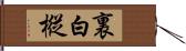 裏白樅 Hand Scroll