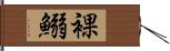 裸鰯 Hand Scroll