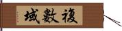 複數域 Hand Scroll