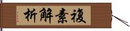 複素解析 Hand Scroll