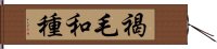 褐毛和種 Hand Scroll