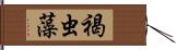 褐虫藻 Hand Scroll