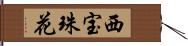 西宝珠花 Hand Scroll