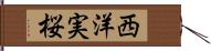 西洋実桜 Hand Scroll