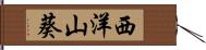 西洋山葵 Hand Scroll