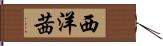 西洋茜 Hand Scroll