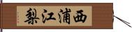 西浦江梨 Hand Scroll