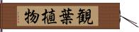 観葉植物 Hand Scroll