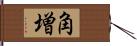 角増 Hand Scroll