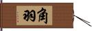 角羽 Hand Scroll