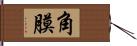 角膜 Hand Scroll