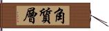 角質層 Hand Scroll