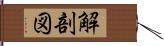 解剖図 Hand Scroll