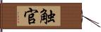 触官 Hand Scroll