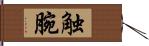 触腕 Hand Scroll