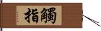 觸指 Hand Scroll