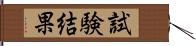 試験結果 Hand Scroll