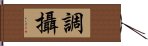 調攝 Hand Scroll