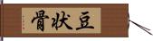 豆状骨 Hand Scroll