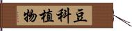 豆科植物 Hand Scroll