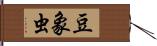 豆象虫 Hand Scroll