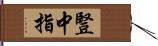豎中指 Hand Scroll
