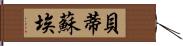 Betty Sue Hand Scroll