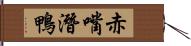 赤嘴潛鴨 Hand Scroll