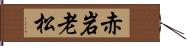 赤岩老松 Hand Scroll