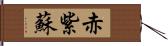 赤紫蘇 Hand Scroll