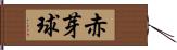 赤芽球 Hand Scroll