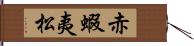 赤蝦夷松 Hand Scroll