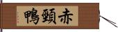 赤頸鴨 Hand Scroll