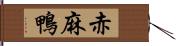 赤麻鴨 Hand Scroll