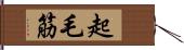 起毛筋 Hand Scroll