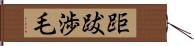 距跋渉毛 Hand Scroll