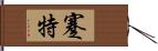 蹇特 Hand Scroll