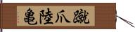 蹴爪陸亀 Hand Scroll