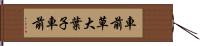 車前草 Hand Scroll