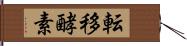 転移酵素 Hand Scroll