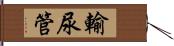 輸尿管 Hand Scroll