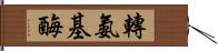 轉氨基酶 Hand Scroll