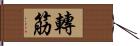 轉筋 Hand Scroll