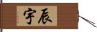 辰宇 Hand Scroll